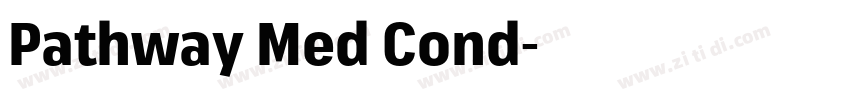 Pathway Med Cond字体转换 Pathway Med Cond字体转换